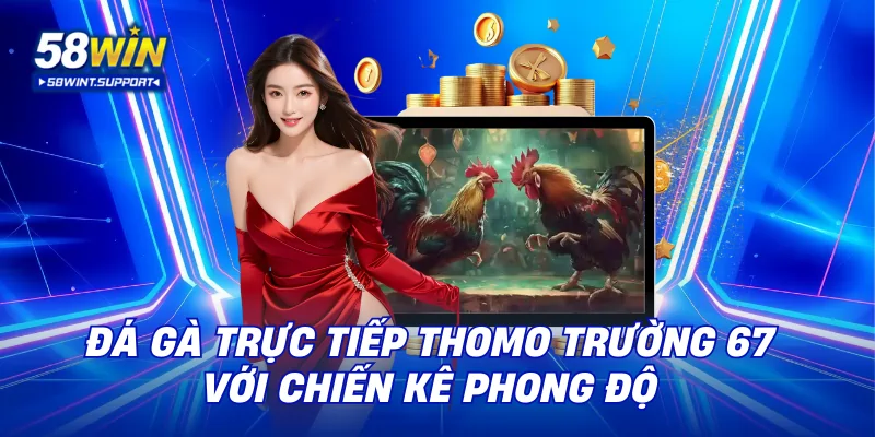 Đá gà trực tiếp thomo trường 67 với chiến kê phong độ