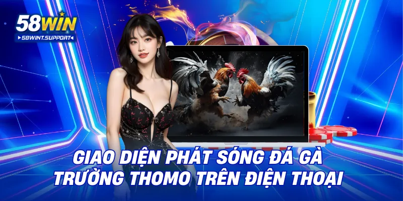 Giao diện phát sóng đá gà trường Thomo trên điện thoại